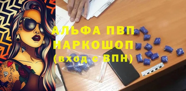 эйфоретик Покачи
