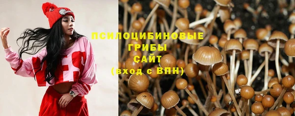 эйфоретик Покачи