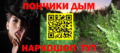 спиды Новодвинск