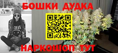 спиды Новодвинск