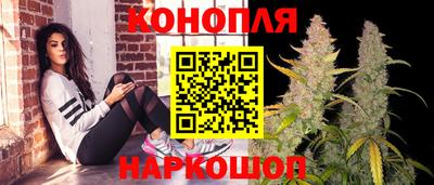 спиды Новодвинск
