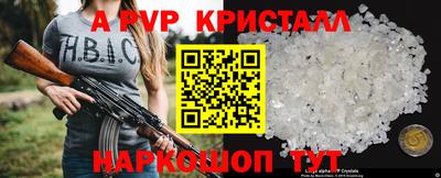 спиды Новодвинск