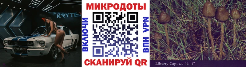кракен сайт Семилуки Галлюциногенные грибы ЛСД