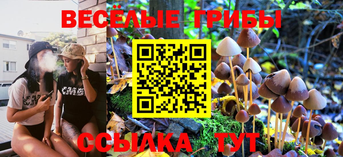 Семилуки  Псилоцибиновые грибы Cubensis  Вход с VPN  Галлюциногенные грибы MAGIC MUSHROOMS 