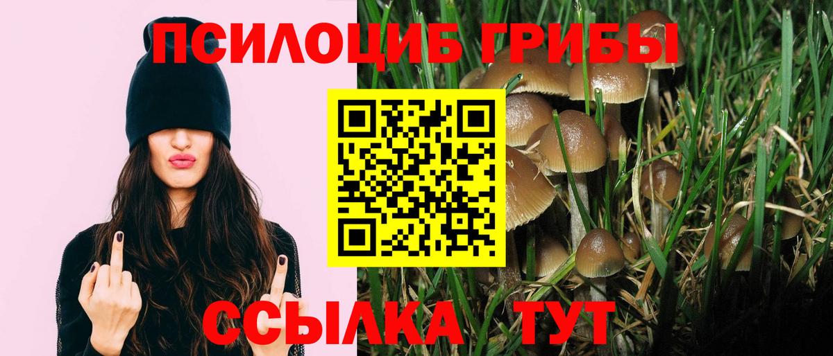 Галлюциногенные грибы Magic Shrooms  где найти наркотики  Семилуки 